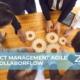 collaborflow per il project management agile